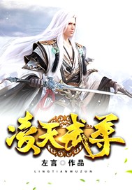 凌天武尊