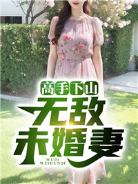 高手下山：無敵未婚妻