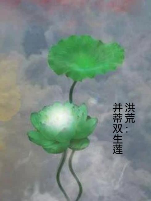 洪荒：並蒂雙生蓮